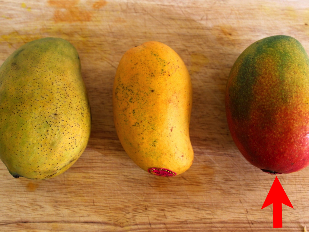 MangoTime.001